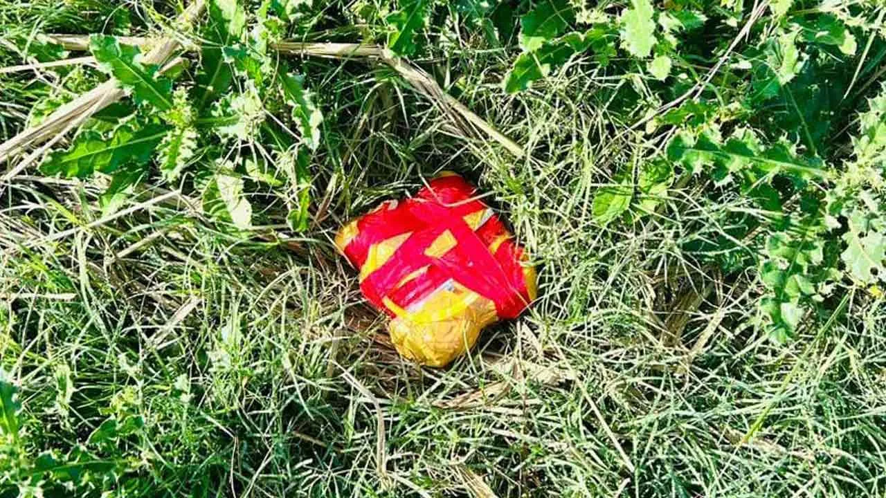 तरनतारन में बीएसएफ ने बरामद की 545 ग्राम हेरोइन