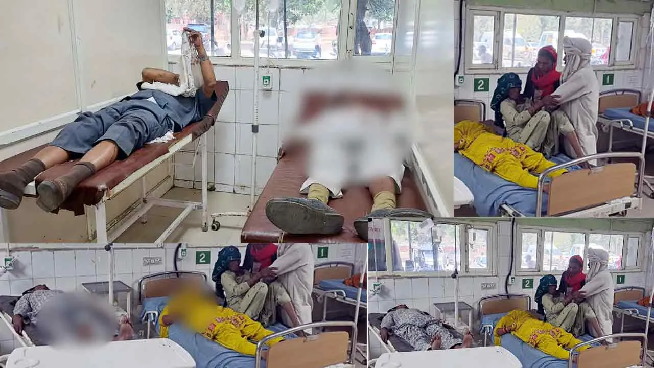 Road Accident: टाटा मैजिक पेड़ से टकराई, 16 घायल