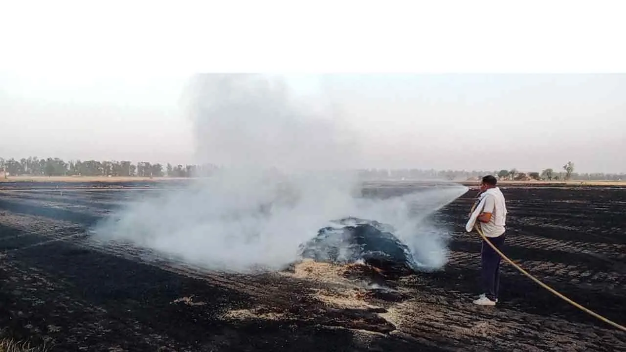 Fire: रीपर से निकली चिंगारी से लगी आग, फाने जलकर राख