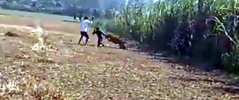 Leopard Attack Farmers: तेंदुए ने मचाया कोहराम : खेतों पर काम कर रहे किसानों पर किया हमला, तीन घायल