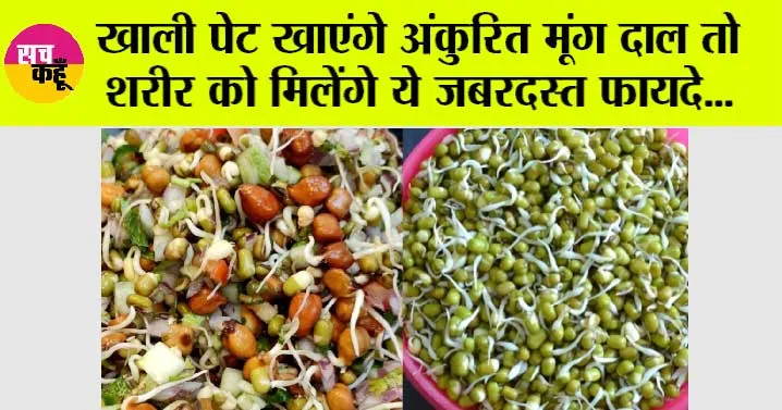 Moongdal Sprouts Benefits: सुबह खाली पेट करें अंकुरित मूंग का सेवन, ऊर्जा से भरपूर गुजरेगा पूरा दिन