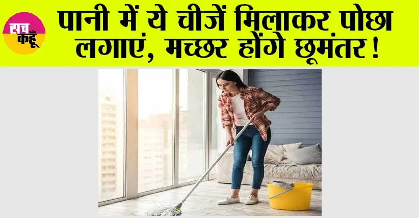 Mopping Tips: पानी में ये चीजें मिलाकर पोछा लगाएं, मच्छर होंगे छूमंतर!
