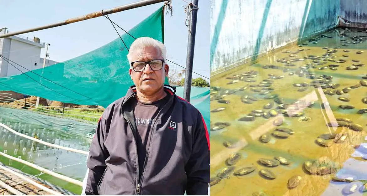 Moti Ki Kheti : किसान बसंत सैनी ने मोती की खेती से पौने 2 साल में कमाए 18 लाख