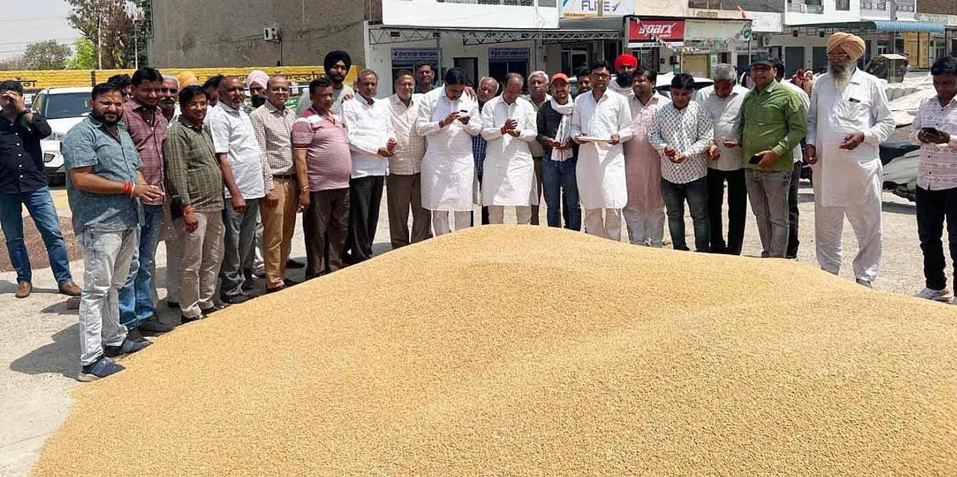 भारत सरकार ने गेहूँ के गुणवत्ता मापदण्डों में प्रदान की छूट