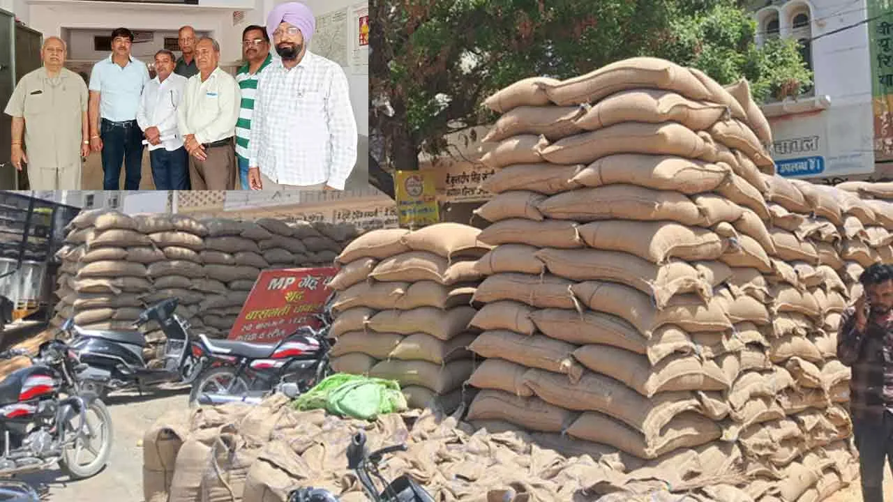 लाखों कट्टे गेहूं खुले आसमान के नीचे, व्यापारियों में रोष