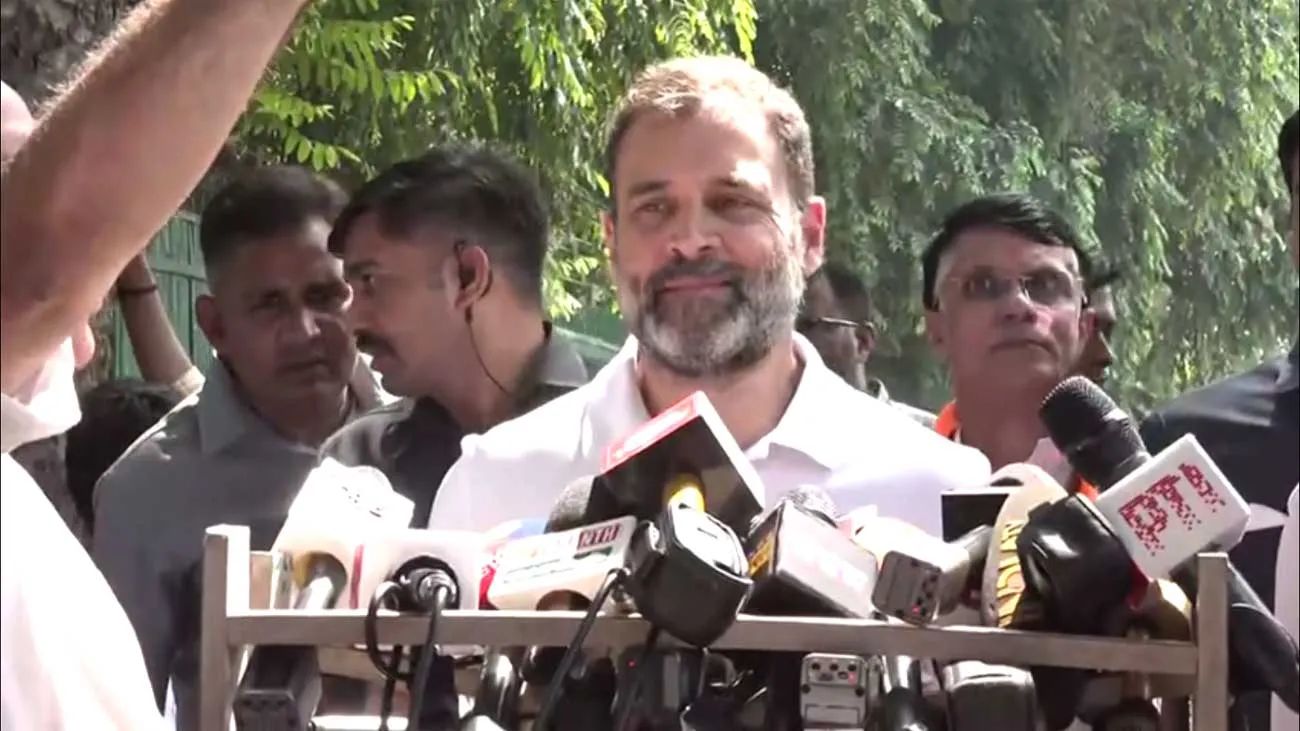 Wayanad Lok Sabha: बीजेपी को पैसा दे दो, कोई सीबीआई, ईडी का मामला नहीं: राहुल गांधी
