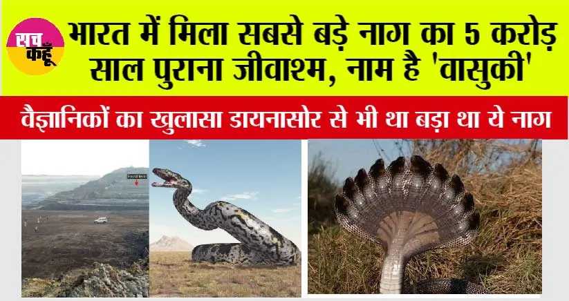 Snake Fossil Found: हकीकत में था वासुकी नाग! 50 फीट का था इसका शरीर, गुजरात के कच्छ में पाएं गए प्राचीन जीवाश्म, टी-रेक्स डायनासोर से भी था बड़ा