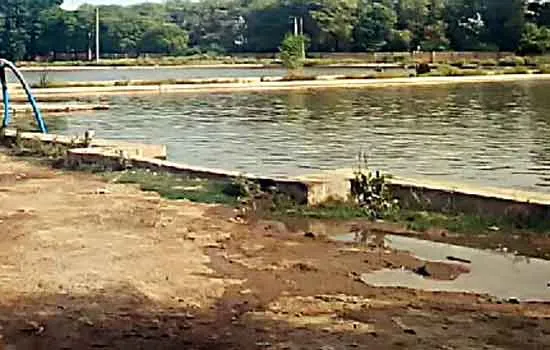 किसान की छह माह की मेहनत पर चोरों ने फेरा पानी