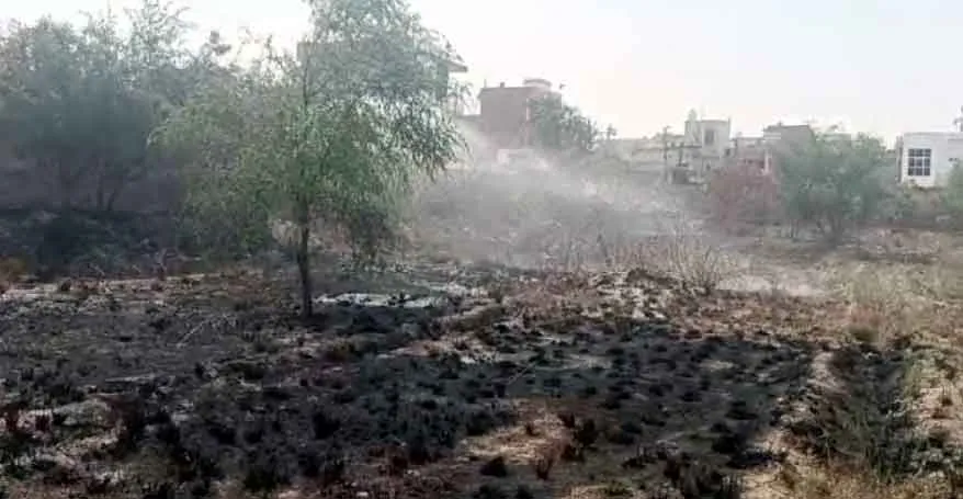Transformer Burnt : ट्रांसफार्मर बना आग का गोला, कॉलेज परिसर में लगी झाडिय़ां जली