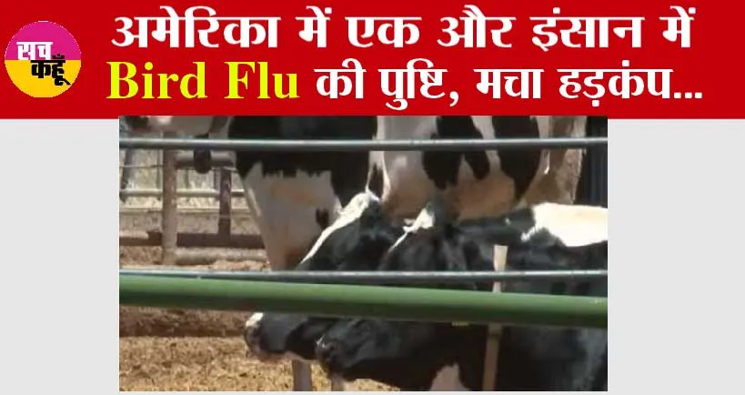 America: अमेरिका में एक और इंसान में Bird Flu की पुष्टि, मचा हड़कंप…