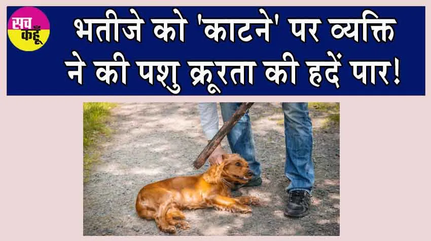 Man Kills Pet Dog: भतीजे को ‘काटने’ पर व्यक्ति ने की पशु क्रूरता की हदें पार!