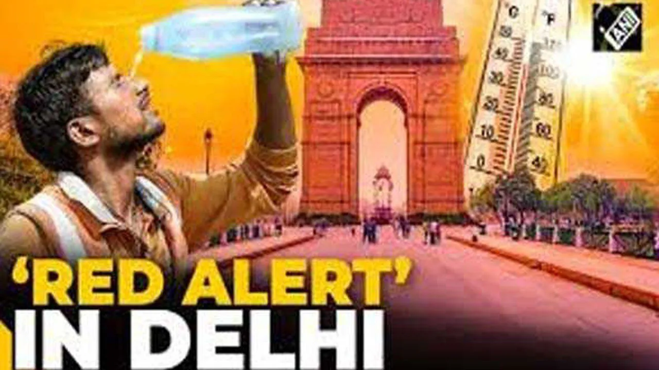 Red Alert: दिल्ली-एनसीआर में भीषण गर्मी को लेकर रेड अलर्ट जारी