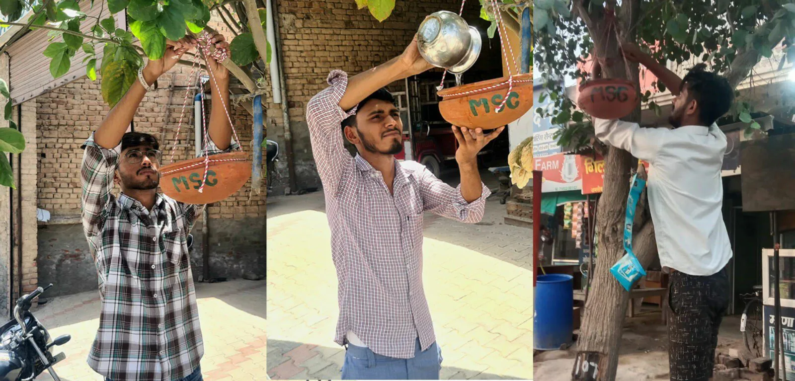 पक्षी जीर्णोद्धार के लिए ऐलनाबाद की साध-संगत ने दिखाई इंसानियत
