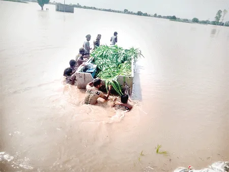 Flood Relief