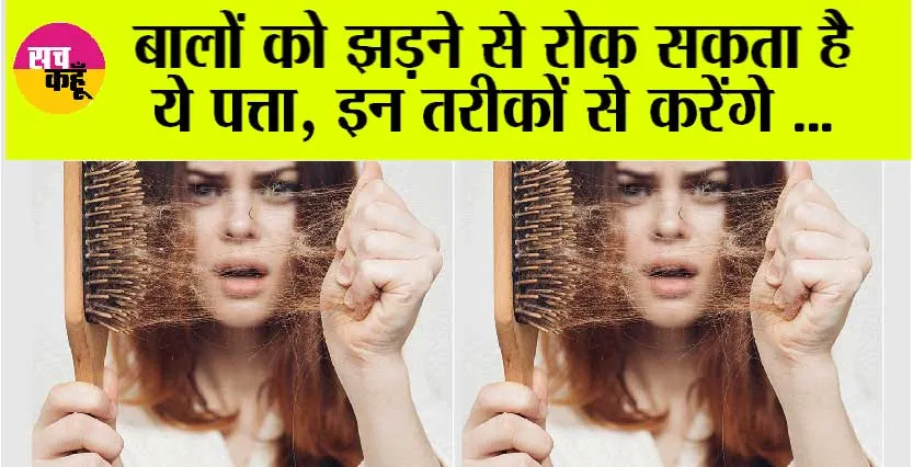 Hair Care Tips: बालों के लिए किसी वरदान से कम नहीं हैं ये पत्ते …जानें कैसे करें इस्तेमाल