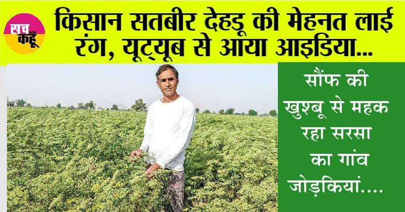 सौंफ की खुश्बू से महक रहा सरसा का गांव जोड़कियां