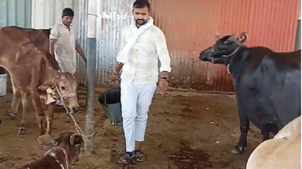 तीन दिन तक खराब पड़ा रहा अलीपुर गौशाला का सबमर्सिबल