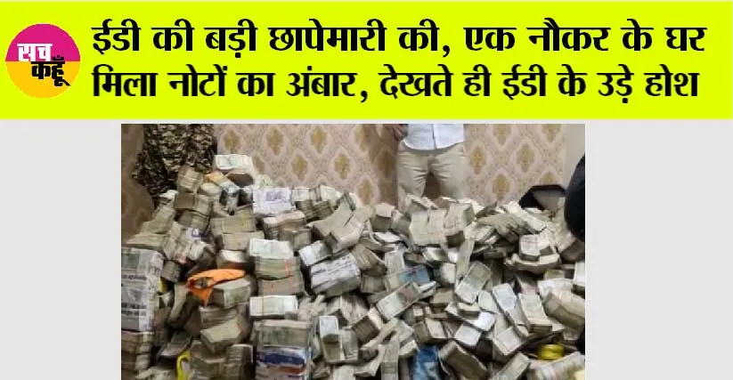 Lok Sabha Election 2024: ईडी की बड़ी छापेमारी की, एक नौकर के घर मिला नोटों का अंबार, देखते ही ईडी के उड़े होश