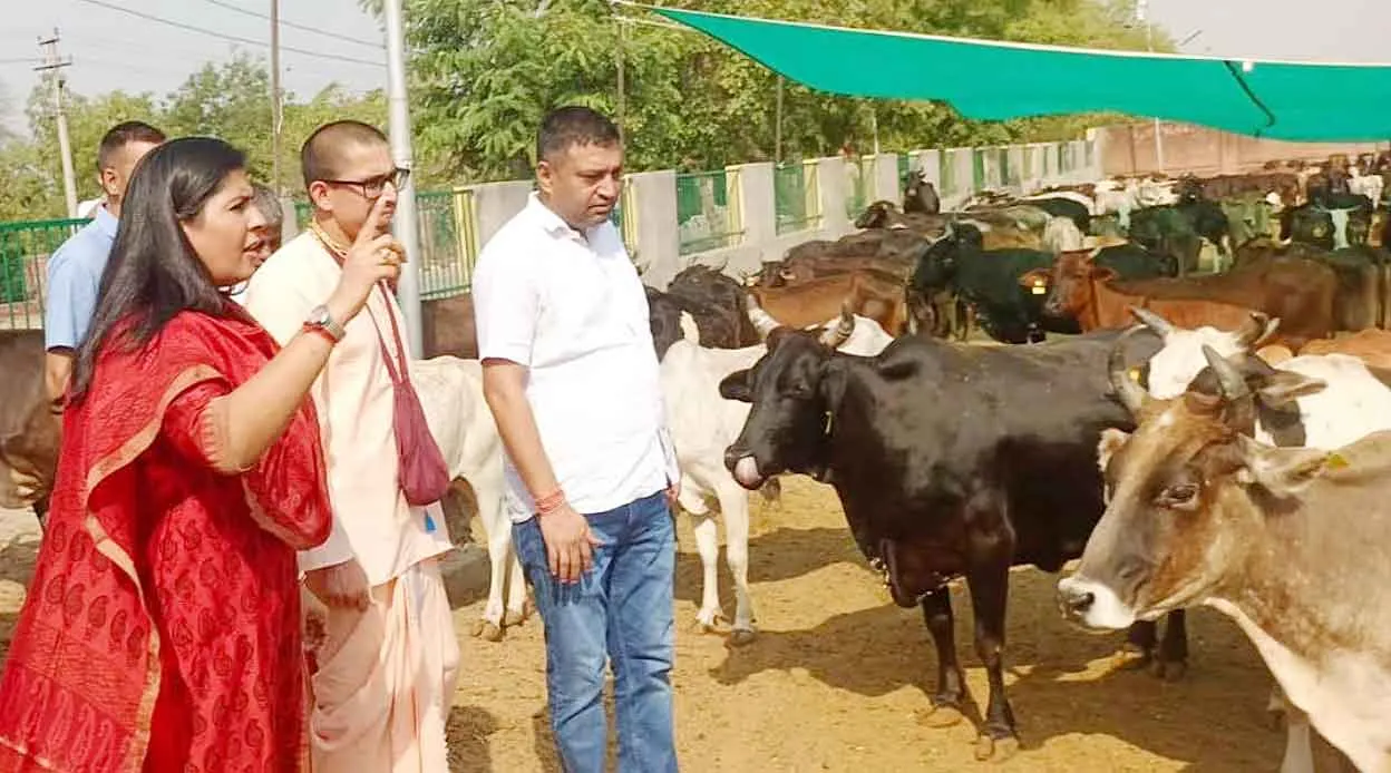 महापौर डॉ. सौम्या गुर्जर ने किया हिंगौनिया गौशाला का निरीक्षण