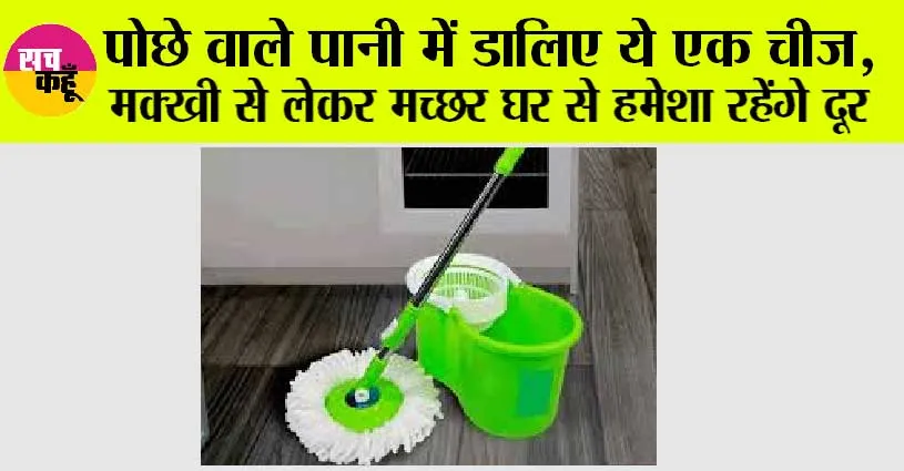 Mop Water: मक्खी-मच्छरों की समस्या से है परेशान, तो पोंछे में ये चीज मिलाकर लगाएं पोंछा, फिर देखो कमाल!