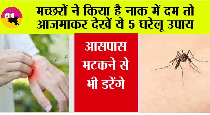 Mosquitoes: मच्छरों के आतंक ने कर दिया है तबाह तो आज ही से करें ये 5 घरेलू उपाय…कुछ ही मिनटों में हो जाएगी मच्छरों की छुट्टी