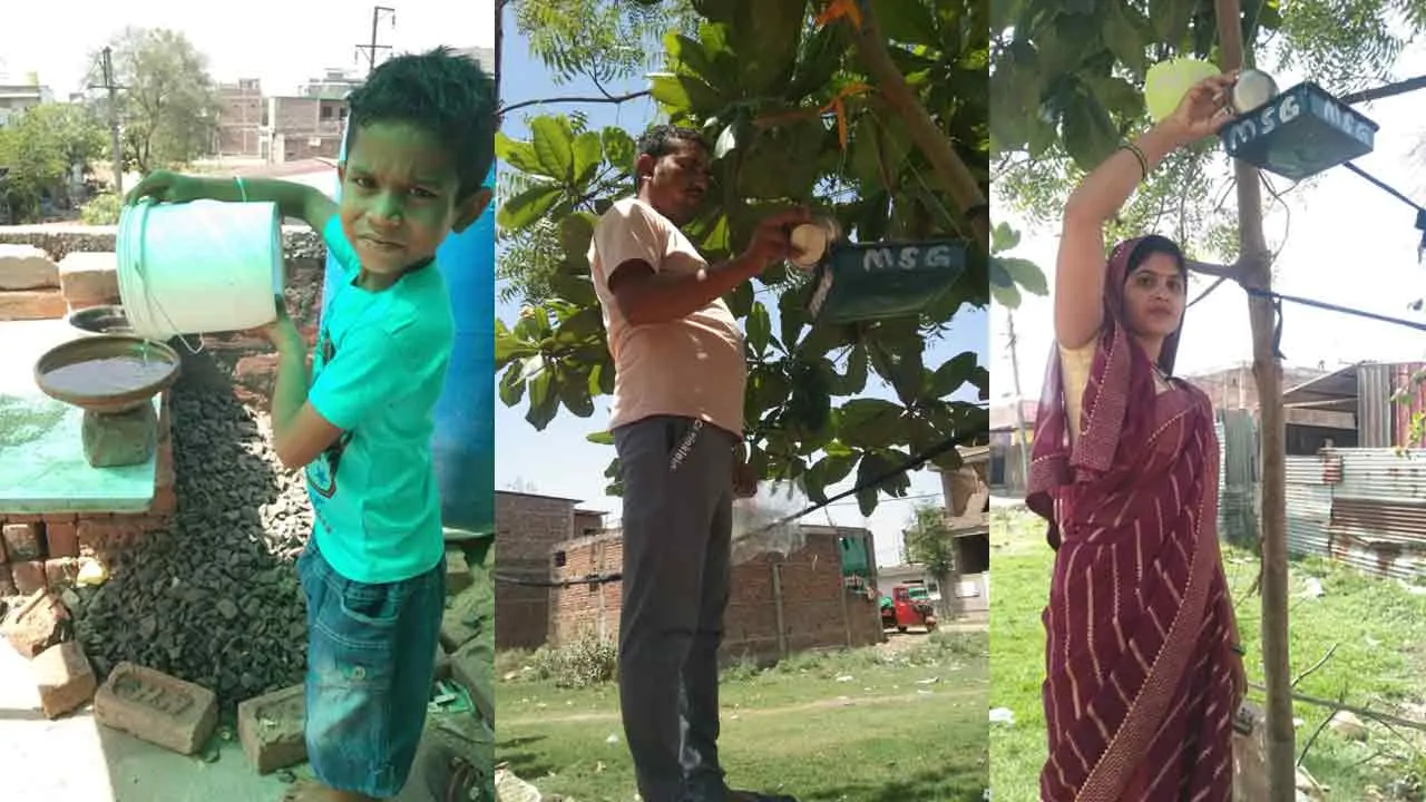 नागपुर के सेवादारों ने लगाये पक्षियों के परिंडे, सार संभाल का लिया संकल्प