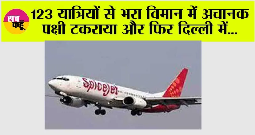 123 यात्रियों से भरा विमान में अचानक पक्षी टकरा गया और फिर दिल्ली में आपातकालीन लैंडिंग