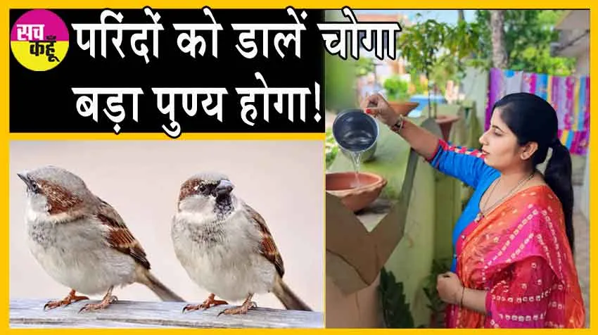 Maharashtra: नागपुर के सेवादारों ने दिया ‘अनबोल धन’ के लिए सराहनीय योगदान!