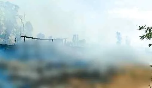 आग का कहर, 50 भेड़/बकरियां जिंदा जली, 500 ट्रॉली तूड़ी जलकर राख