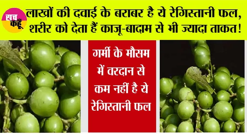 Shocking News: गर्मी के मौसम में वरदान से कम नहीं है ये रेगिस्तानी फल, शरीर को देता हैं काजू-बादाम से भी ज्यादा ताकत, वजन कम करने के साथ-साथ दूर होती हैं काफी बीमारी