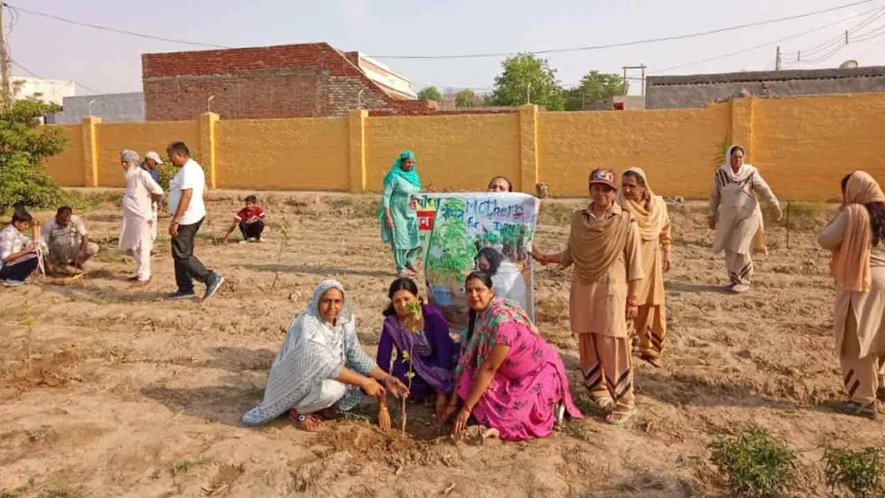 शाह सतनाम जी नगर की साध-संगत ने मदर्स दिवस पर रोपित किए 70 पौधे