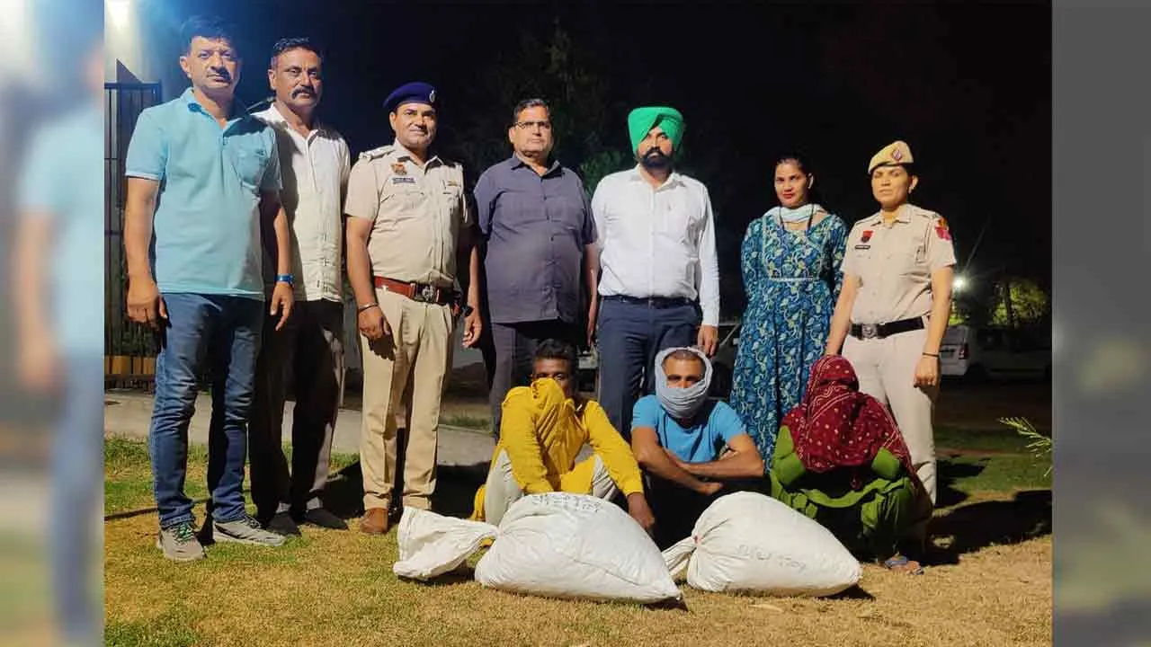 हरियाणा राज्य नार्कोटिक्स कंट्रोल ब्यूरो सिरसा यूनिट की नशे पर बड़ी कार्यवाही