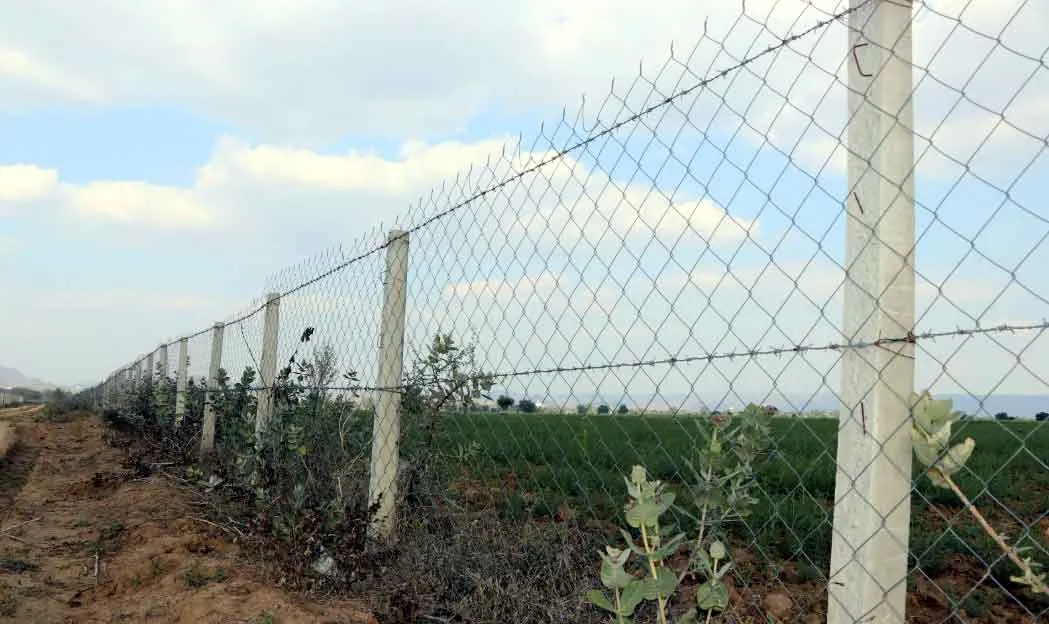 Fencing Scheme: फसलोें को निराश्रित पशुओं से बचाने के लिए तारबंदी योजना हो रही कारगर सिद्ध