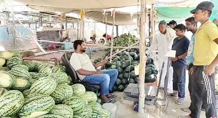 Watermelon: गर्मी की दस्तक के साथ बढ़ी तरबूज की बिक्री