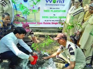 Tree Planting, Dera Sacha Sauda, Saint Dr. MSG