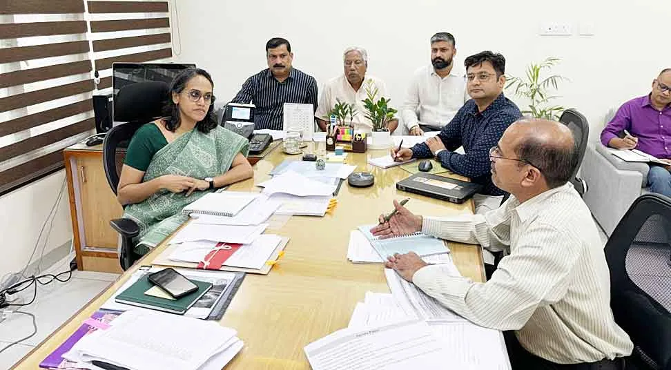 मेजर मिनरल के 15 ब्लॉकों की अब तक नीलामी सफल