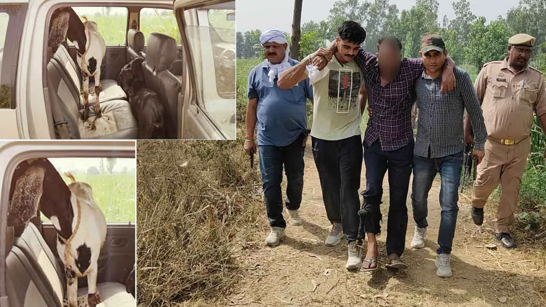 पुलिस ने 10 हजार रूपये के ईनामी बदमाश सहित दो को लंगड़ा किया