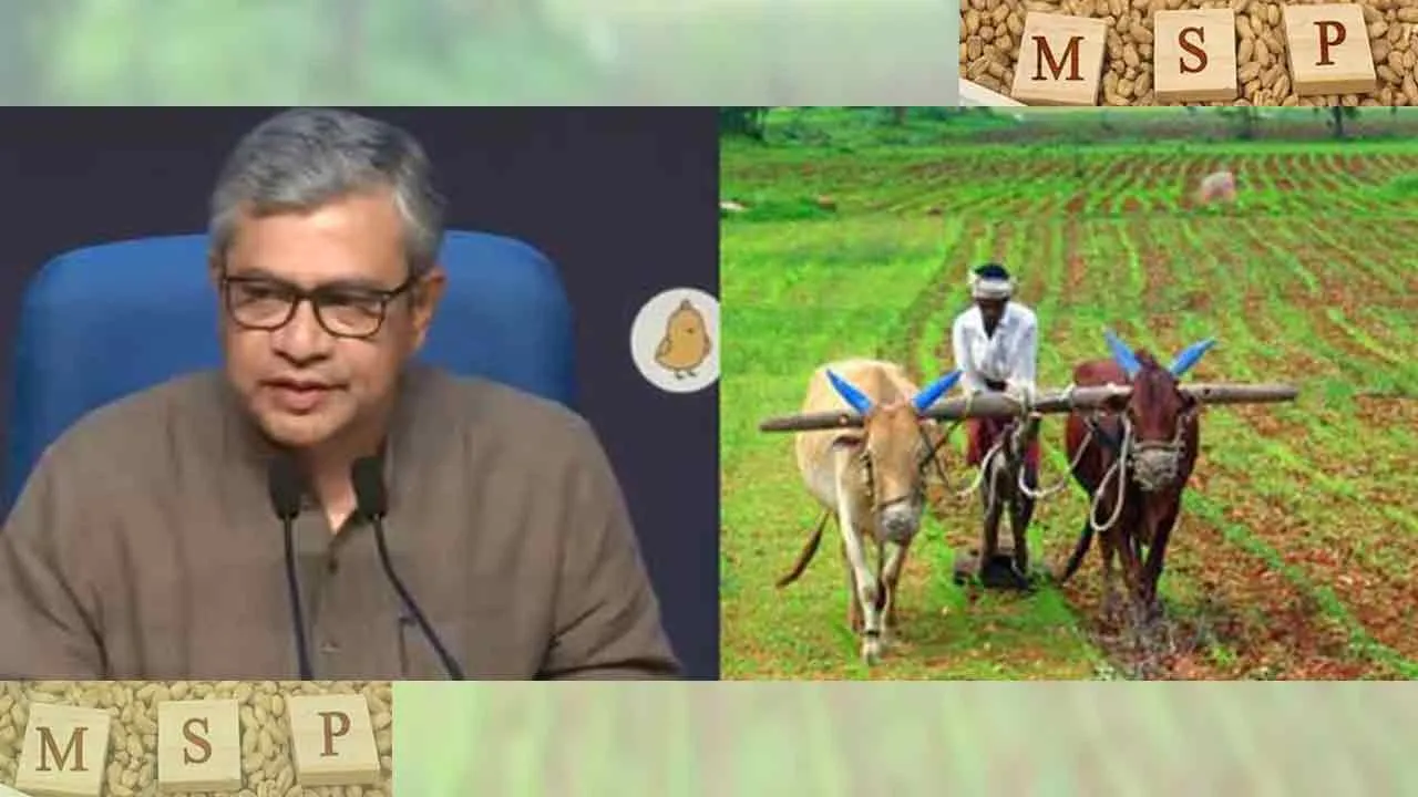 MSP: 14 फसलों का एमएसपी मंजूर, किसानों के हित में केंद्र सरकार ने लिया फैसला