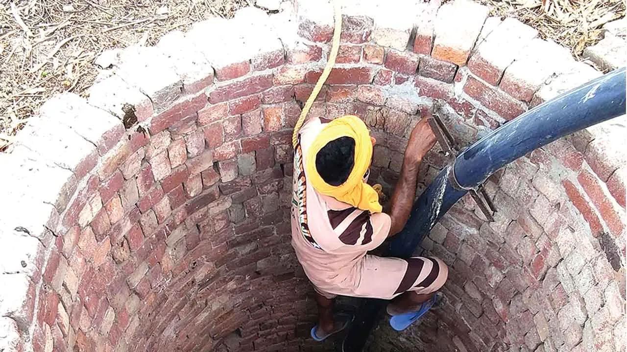 बेजुबान को निकालने के लिए कुएं में उतर गया सेवादार, बचाई जान
