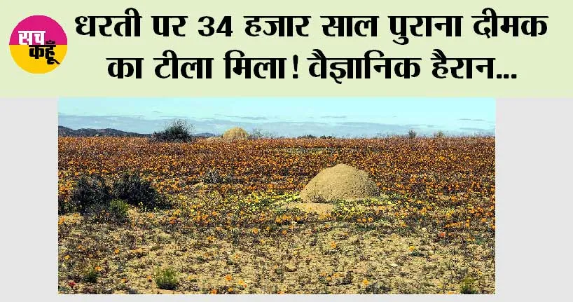 Science News: धरती पर 34 हजार साल पुराना दीमक का टीला मिला!