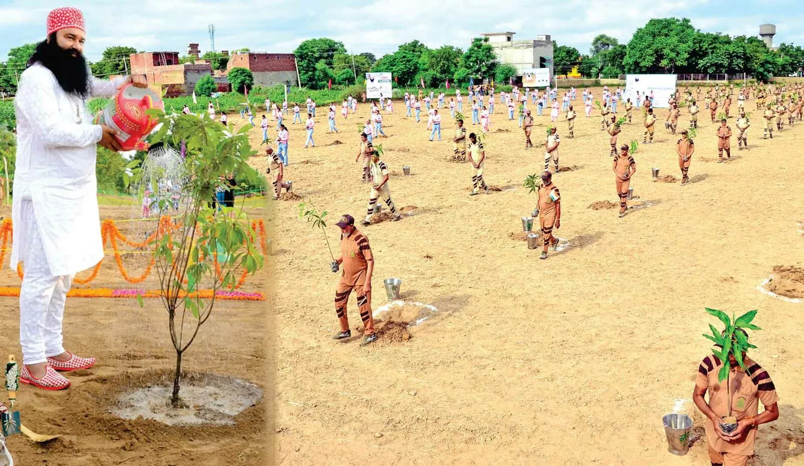 World Environment Day 2024: MSG के मार्गदर्शन में डेरा सच्चा सौदा बना चुका है पौधारोपण में चार विश्व रिकॉर्ड!