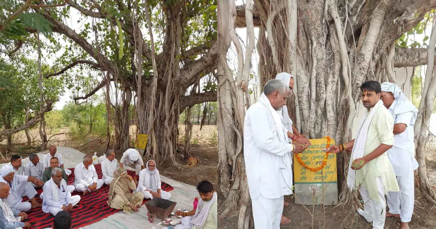 प्रभु राम का परिवार कर रहा 120 साल पुराने बरगद के पेड़ की सेवा