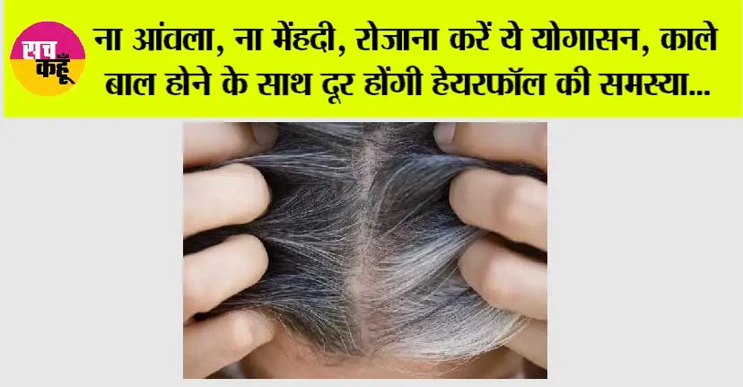 Yoga for Grey Hair: ना आंवला, ना मेंहदी, रोजाना करें ये योगासन, काले बाल होने के साथ दूर होंगी हेयरफॉल की समस्या