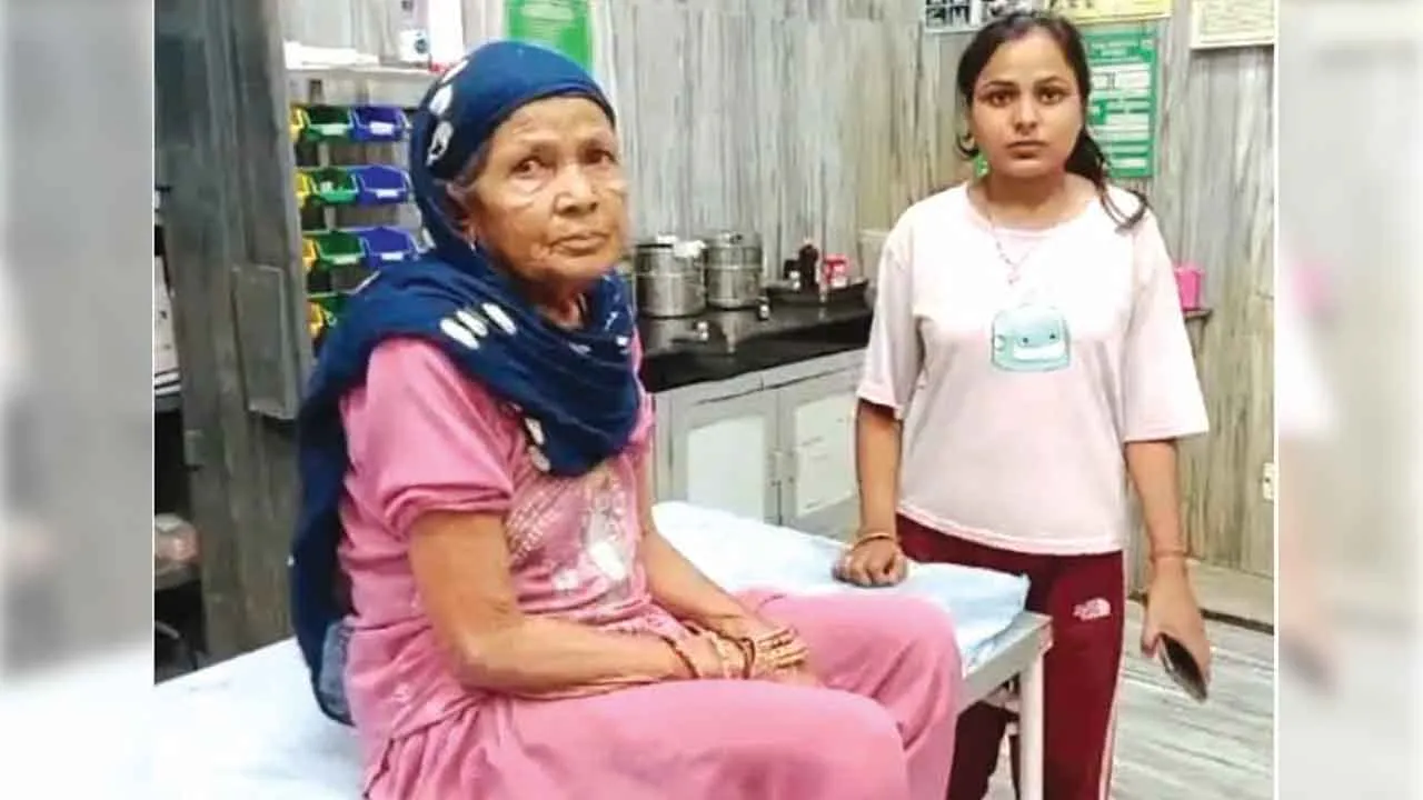अबोहर में आवारा कुत्तों का आंतक, सात लोगों को काटा