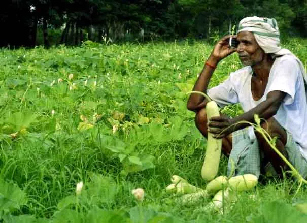 कृषि से क्यों विमुख हो रहे हैं किसान?