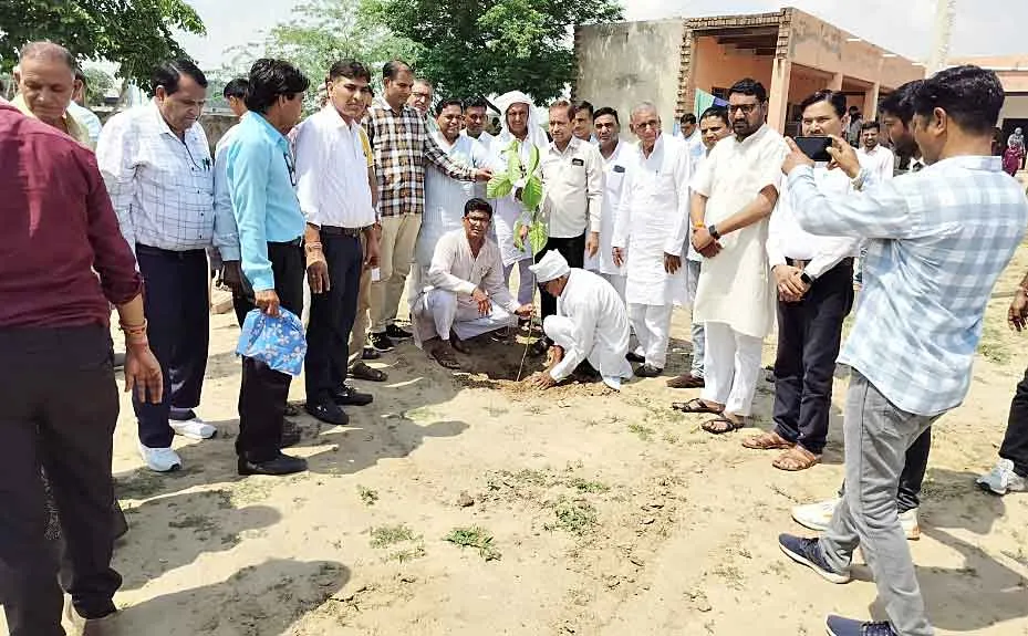 शिक्षक पवन गोठवाल की माता की 16वीं पुण्यतिथि पौधारोपण करके मनाई!