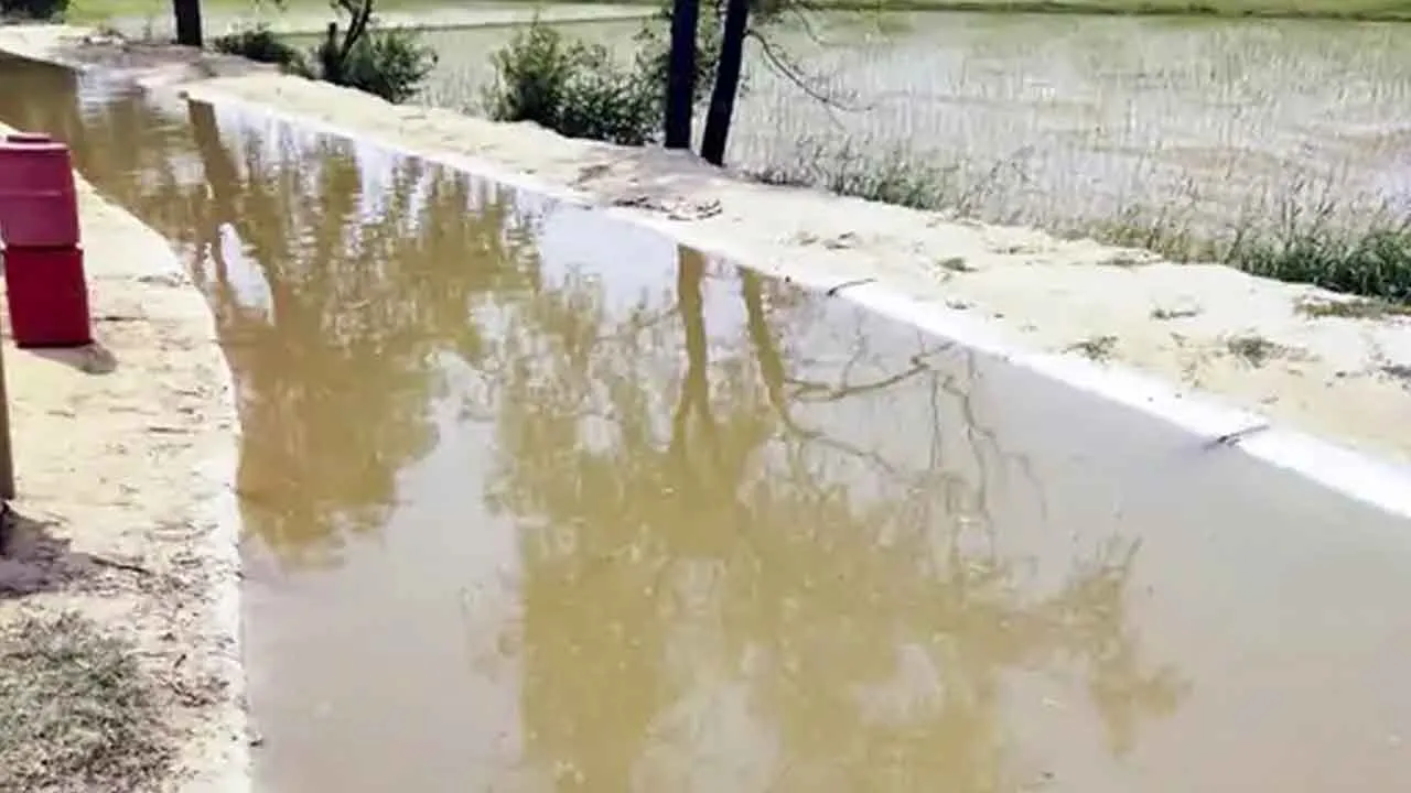 बुधवार को किसानों ने दी थी चेतावनी, विभाग ने नहीं ली सुध