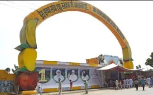 Dera Sacha Sauda, Welfare Work, Precedent, World, Drug Abuse