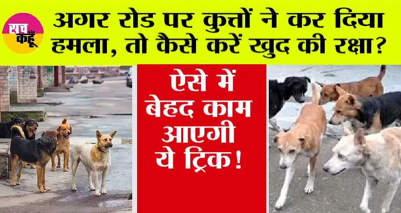 Dog Attack Tips: अगर कुत्तों ने कर दिया हमला, तो कैसे करें खुद का बचाव? ऐसे में बेहद काम आएगी ये ट्रिक!