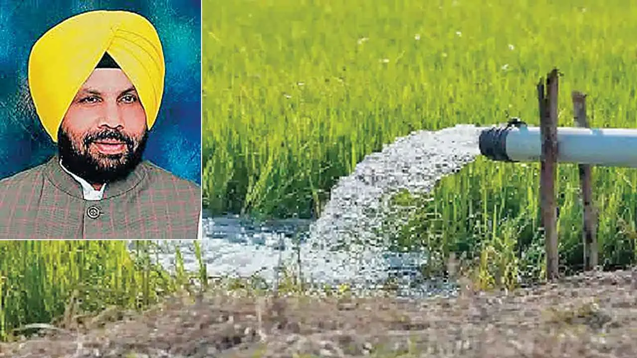 तारबंदी पार के किसानों को दिन में भी मिलेगी बिजली, किसान खुश